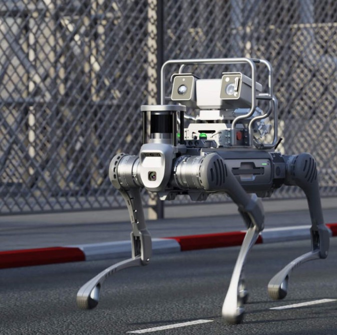 Robotica avanzata - robot dog